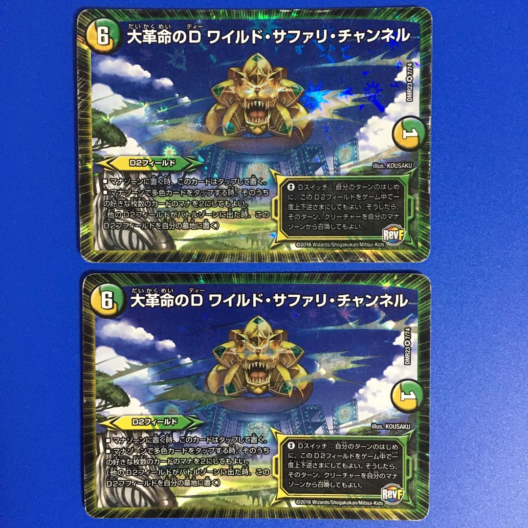 大革命のD ワイルド・サファリ・チャンネル 2枚セット