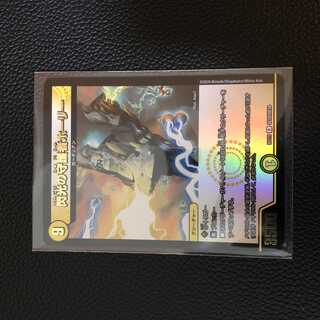 閃光の守護者ホーリー