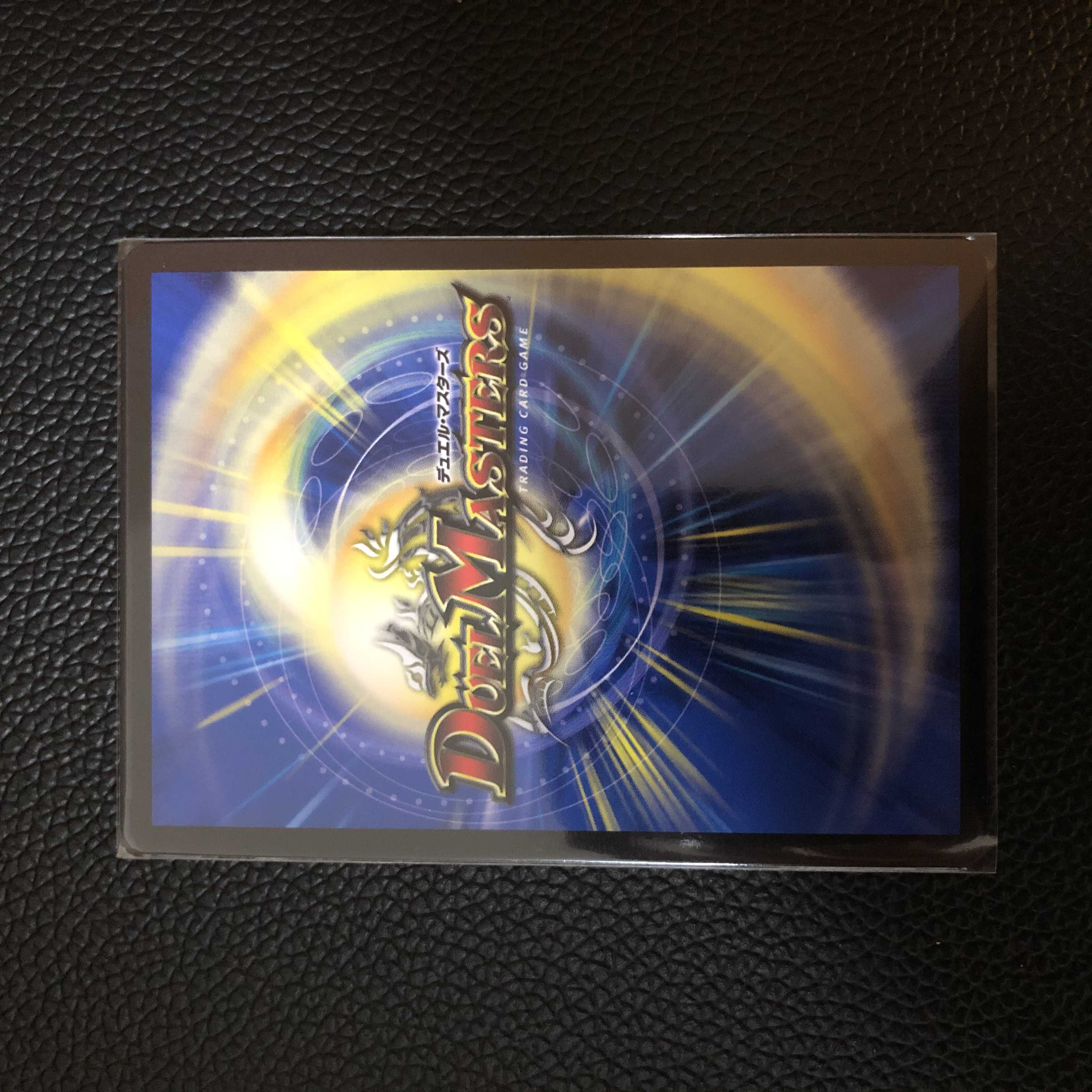 閃光の守護者ホーリー