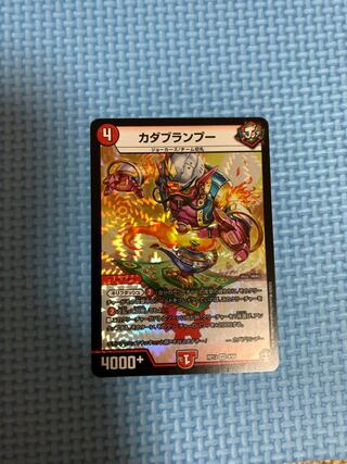 カダブランプー 1枚