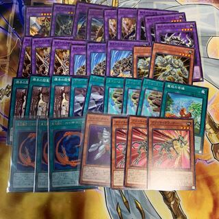 化石デッキパーツ　化石融合 1枚