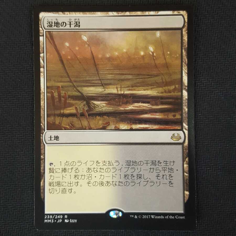 MTG 湿地の干潟 MM3 日本語