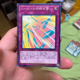 ハーピィの羽根吹雪 ノーマル