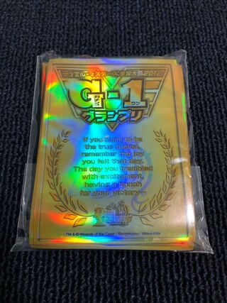 G-1 Grand Prix Duhema Official Sleeve National Championship