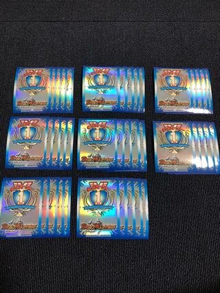 V-1スリーブ デュエマ公式スリーブ 全国大会 (Used