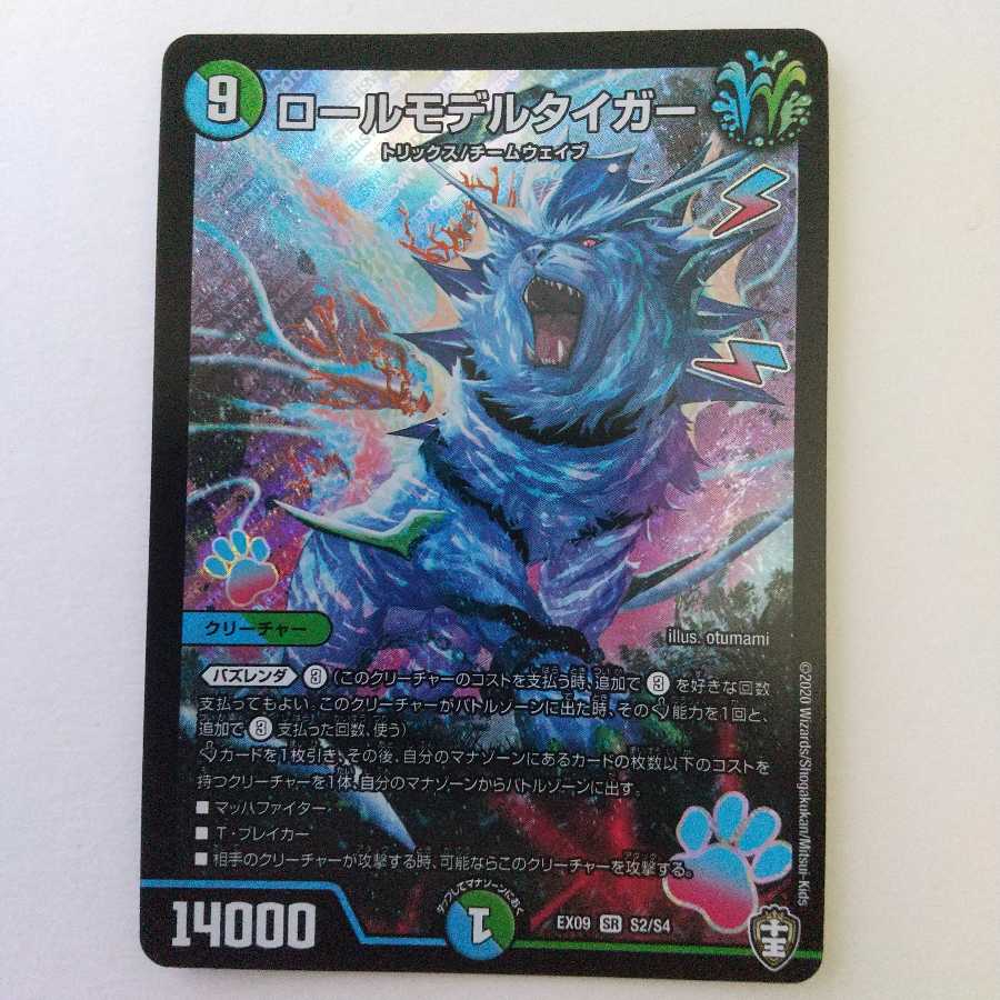 ロールモデルタイガー