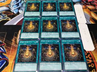 蜜族の狂宴LV5 ノーマル 9枚セット てら 9枚