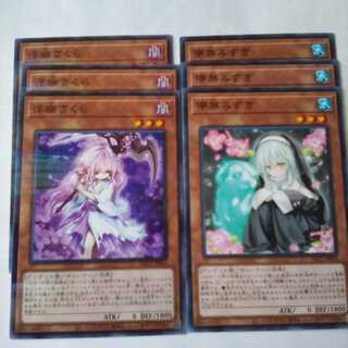 浮幽さくら 儚無みずき セット