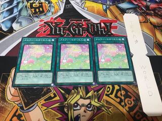 メルフィーのかくれんぼ ノーマル 3枚セット てら