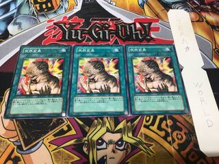 突然変異 ノーマル 3枚セット てら