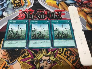 竜の霊廟 ノーマル 3枚セット てら