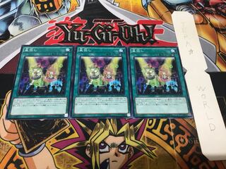 盆回し ノーマル 3枚セット てら