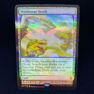 Windswept Heath foil EXP