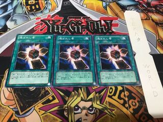 Chosen One Normal Set of 3 Tera