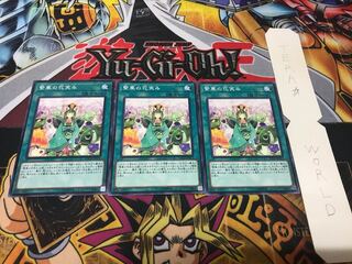 繁華の花笑み ノーマル 3枚セット てら