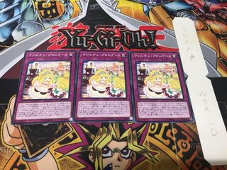 Madolche Promenade Normal, Set of 3, Terra