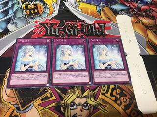 六花深々 ノーマル 3枚セット てら