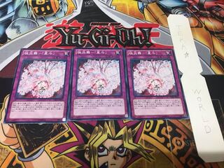 極炎舞-「星斗」 ノーマル 3枚セット てら