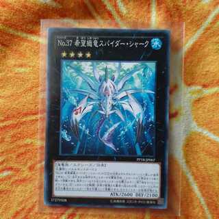 No.37 希望織竜スパイダー・シャーク