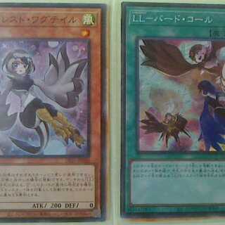 LLバードコール、セレストワグテイルセット