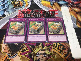 農園からの配送 ノーマル 3枚セット てら