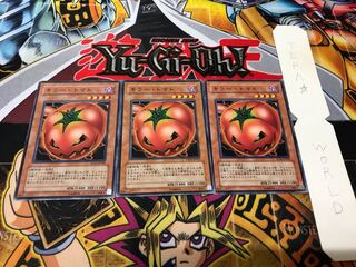 キラー・トマト ノーマル 3枚セット てら