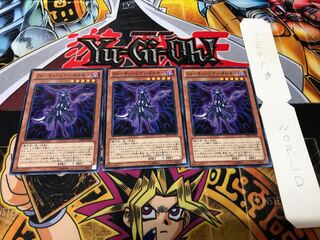 Fortune Lady Dark DE04 Normal, set of 3 Tera.
