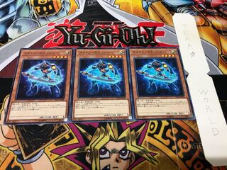 未界域の299 様 専用