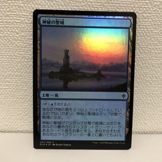 神秘の聖域　日本語foil