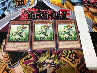 Pilica, Descendant of Gusto Normal, set of 3 Tera 3枚