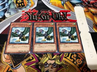 Gusto Codor Normal Set of 3 Tera