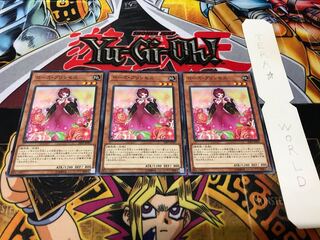 ローズ・プリンセス 20PP ノーマル 3枚セット てら