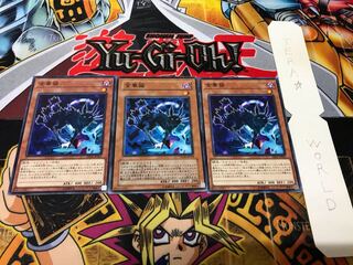 金華猫 ノーマル 3枚セット てら