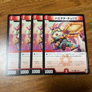 ハエタタ・チュリス　4枚