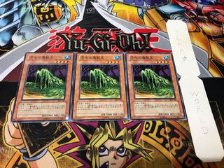 沼地の魔獣王 ノーマル 3枚セット てら