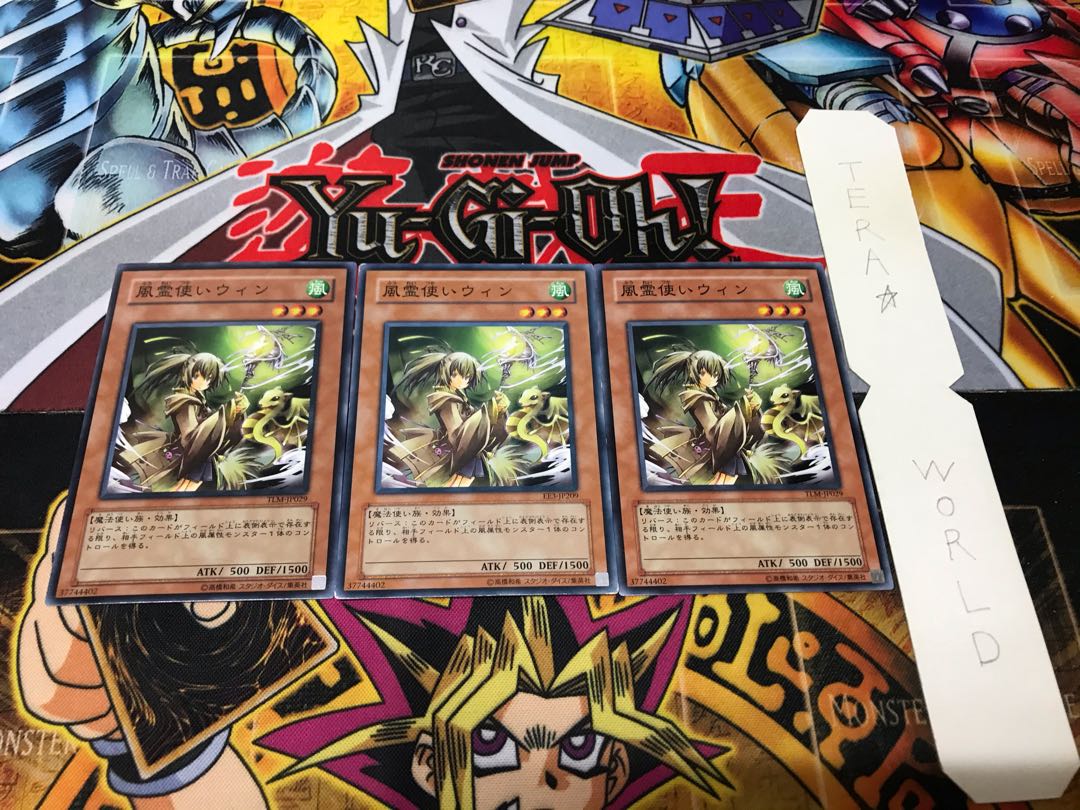 Wynn the Wind Charmer Normal 3-piece set Tera