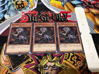 闇の精霊 ルーナ ノーマル 3枚セット てら