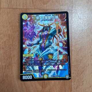 煌メク聖壁 灰瞳