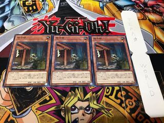 独法師 ノーマル 3枚セット てら