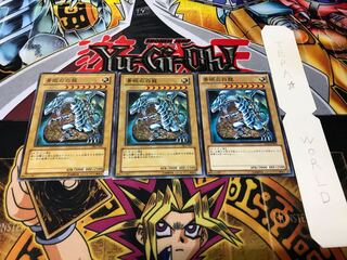 青眼の白龍 ノーマル 3枚セット てら