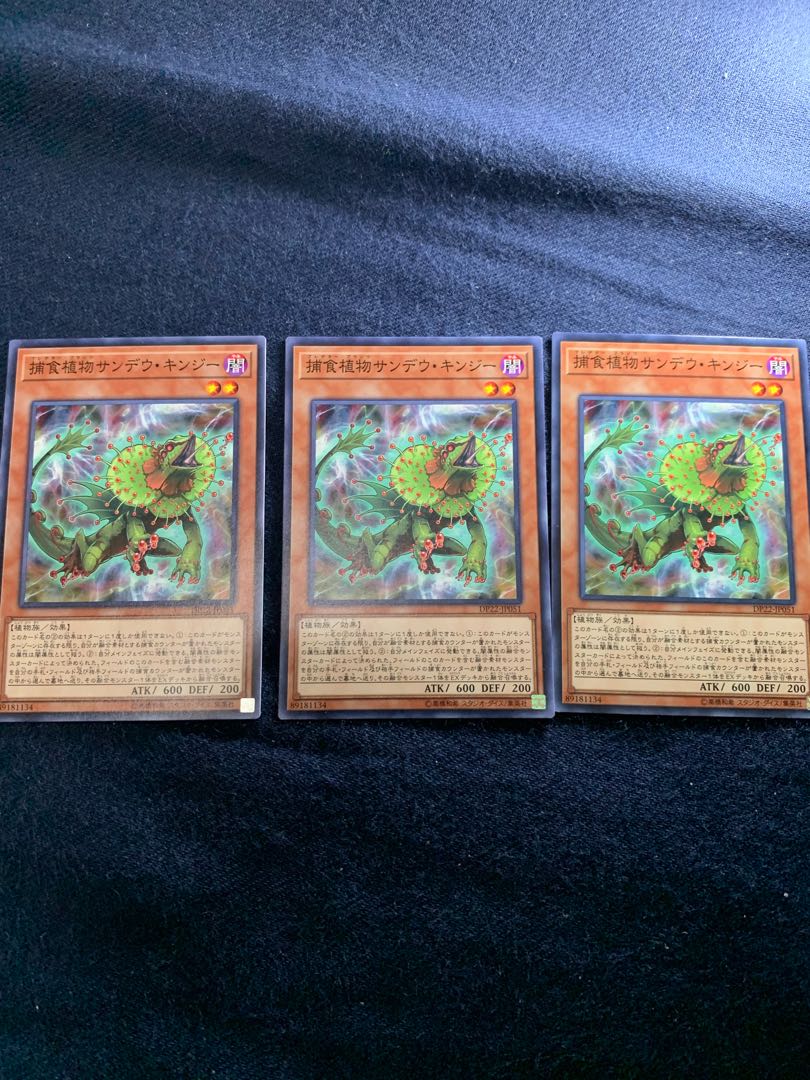 捕食植物サンデウ・キンジー ノーマル 3枚