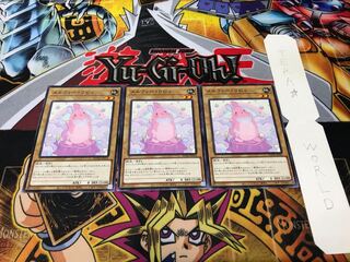 Melffy Rabby Normal Set of 3 Tera