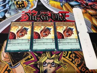 マイルド・ターキー 17PR ノーマル 3枚セット てら