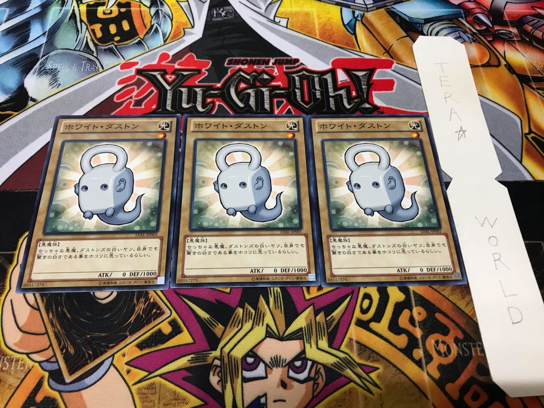 ホワイト・ダストン ノーマル 3枚セット てら