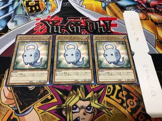 ホワイト・ダストン ノーマル 3枚セット てら