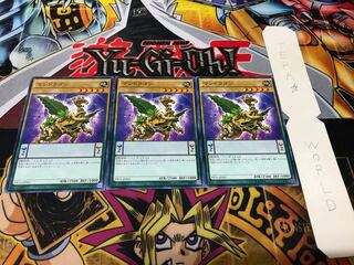 マンドラゴン ノーマル 3枚セット てら