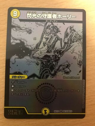 閃光の守護者ホーリー　黒シク