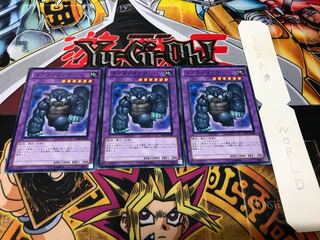 コアラッコアラ ノーマル 3枚セット てら