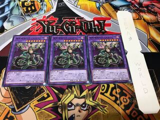 捕食植物ドラゴスタペリア ノーマル 3枚セット てら