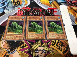 沼地の魔獣王 初期 ノーマル 3枚セット てら